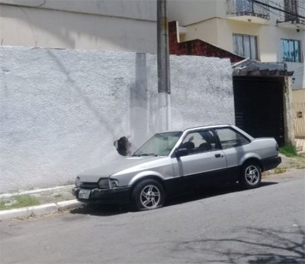 Foto REO635523