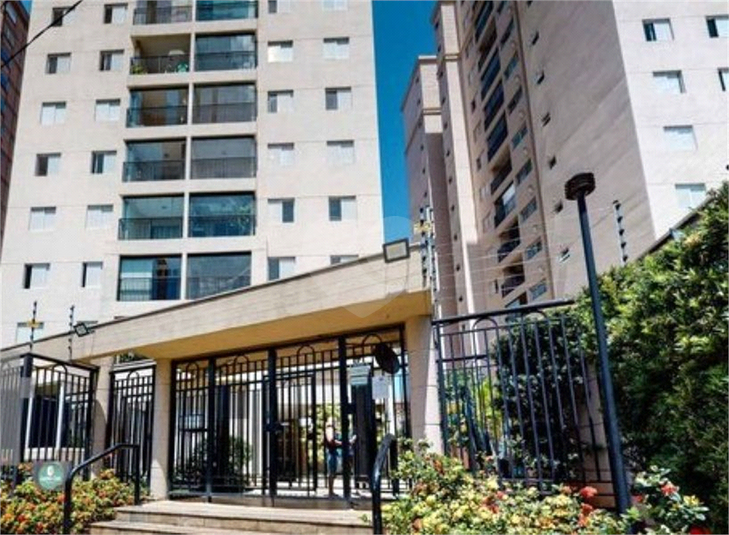 Foto REO636031