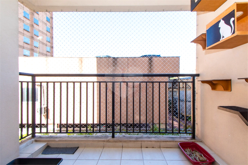 Foto REO636031