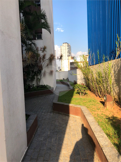 Foto REO636092