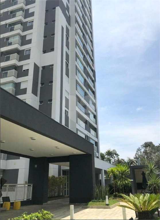 Aluguel Apartamento São Paulo Vila Andrade REO636216 1