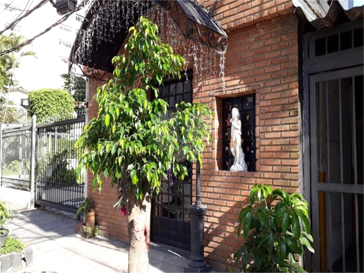 Foto REO636317