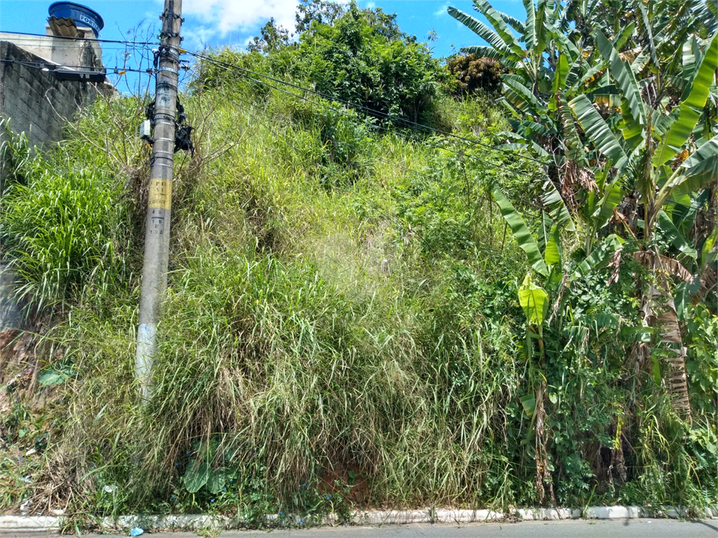 Venda Terreno São Paulo Jardim Do Colégio (zona Norte) REO636451 4