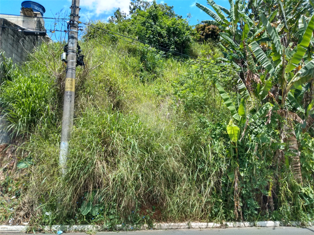 Venda Terreno São Paulo Jardim Do Colégio (zona Norte) REO636451 41