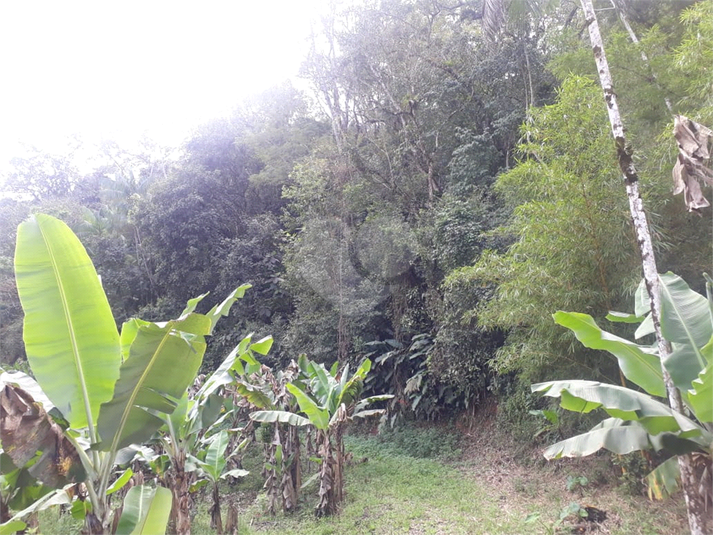 Foto REO636503