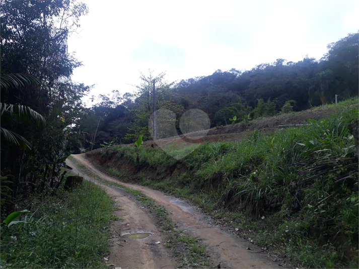 Foto REO636503