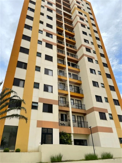 Aluguel Apartamento Valinhos Vila Olivo REO636925 1