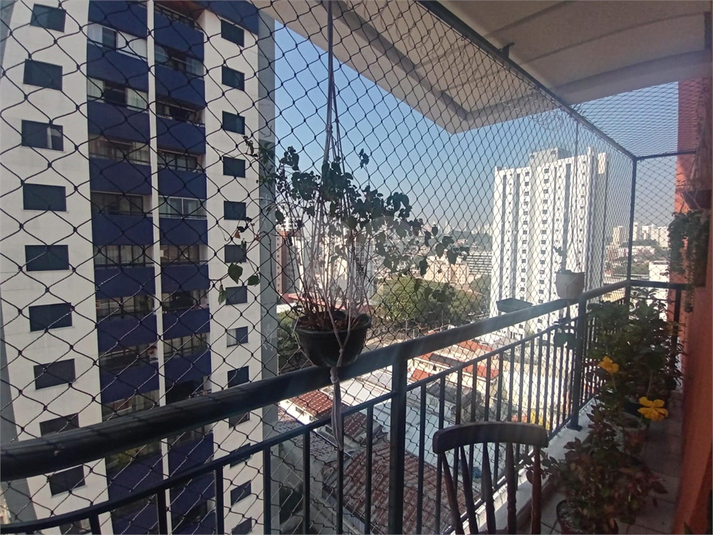 Foto REO637067