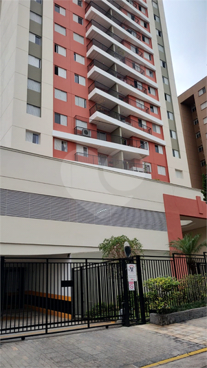 Foto REO637067