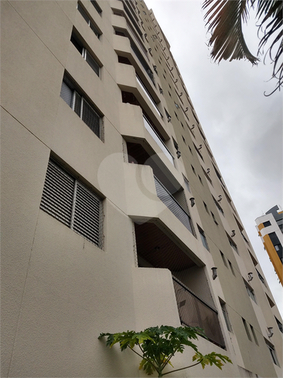 Aluguel Apartamento São Paulo Santa Teresinha REO637409 15