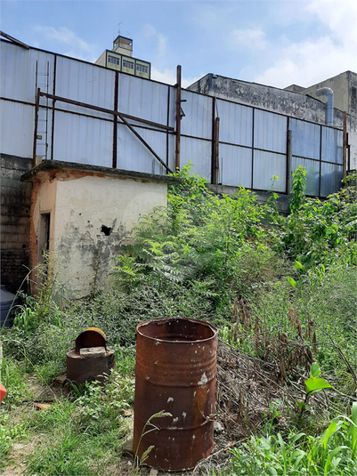 Venda Terreno São Paulo Tucuruvi REO637423 14