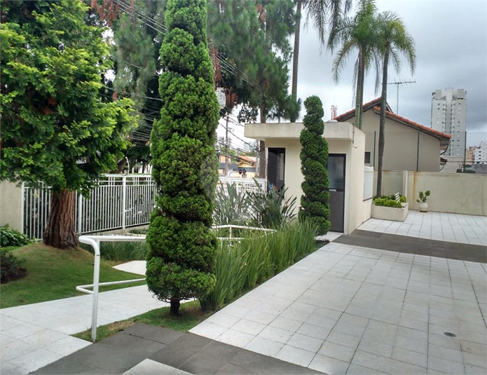 Foto REO637463