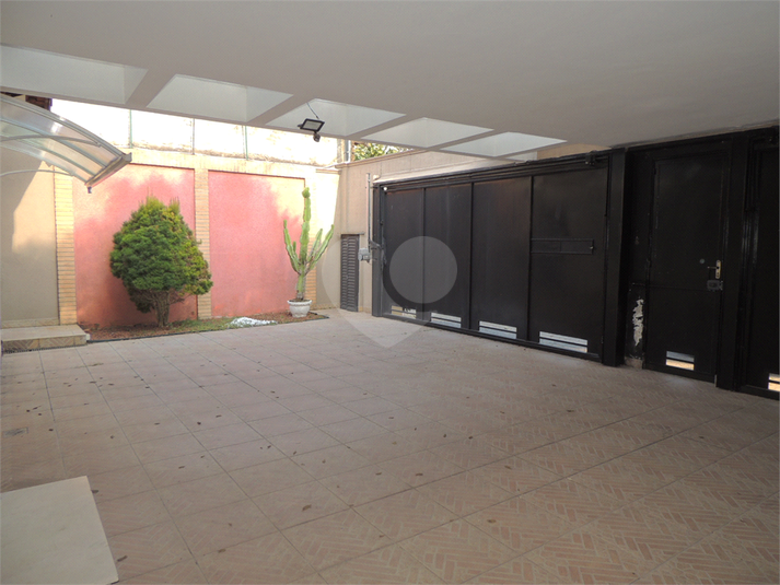 Foto REO637715