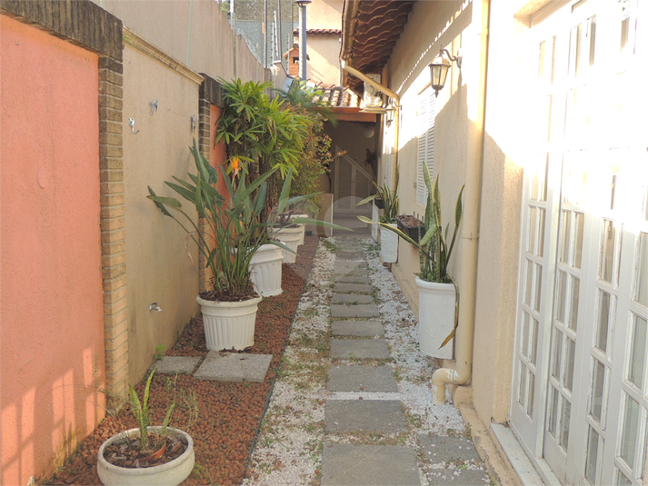 Foto REO637715