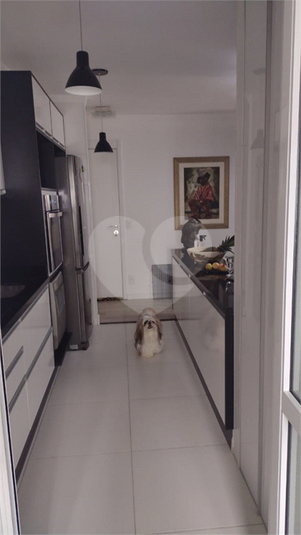 Venda Apartamento São Paulo Parque São Jorge REO637737 17