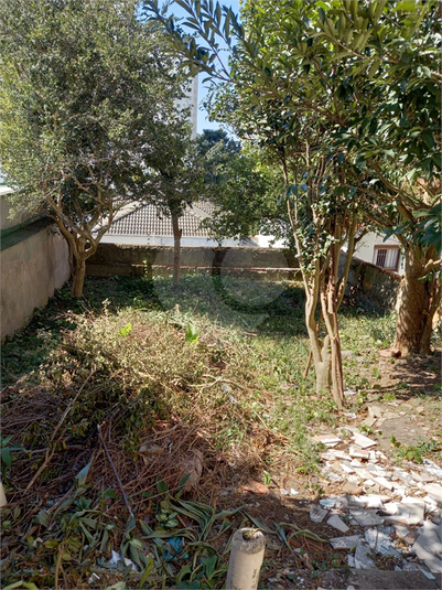Foto REO638132