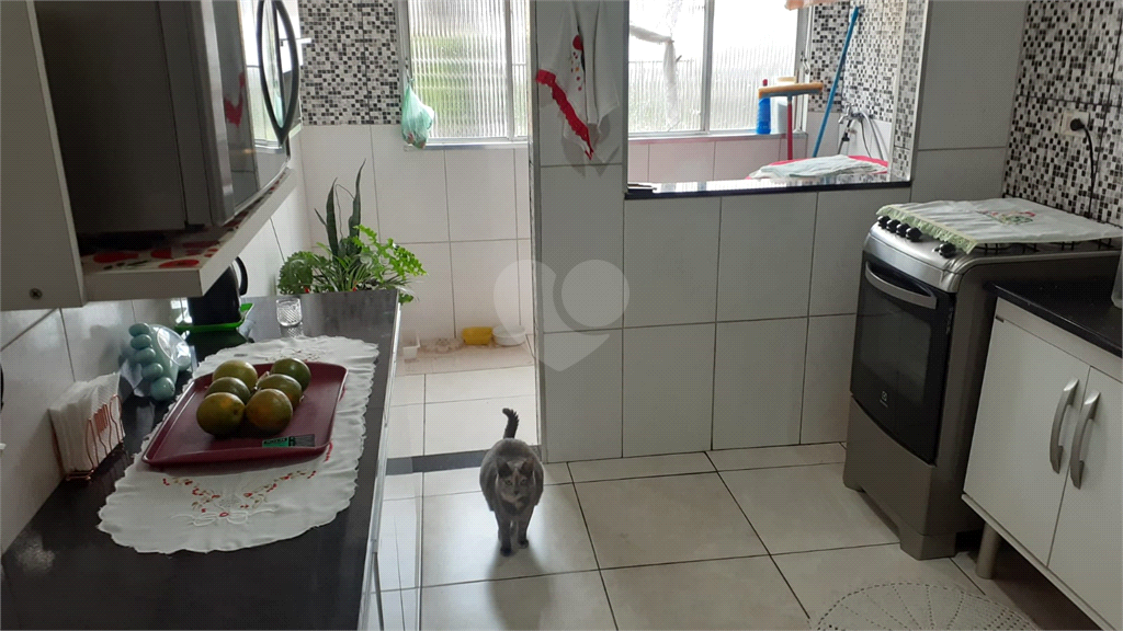 Venda Apartamento São Paulo Vila Nova Mazzei REO638162 45