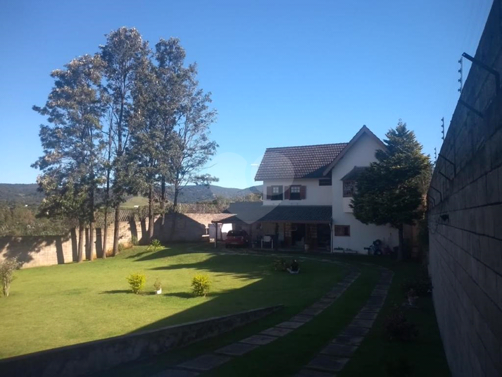 Foto REO638417