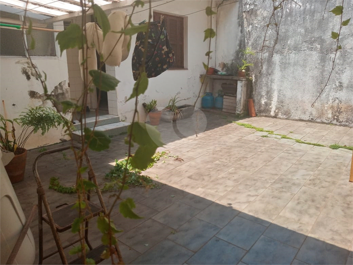 Foto REO638972