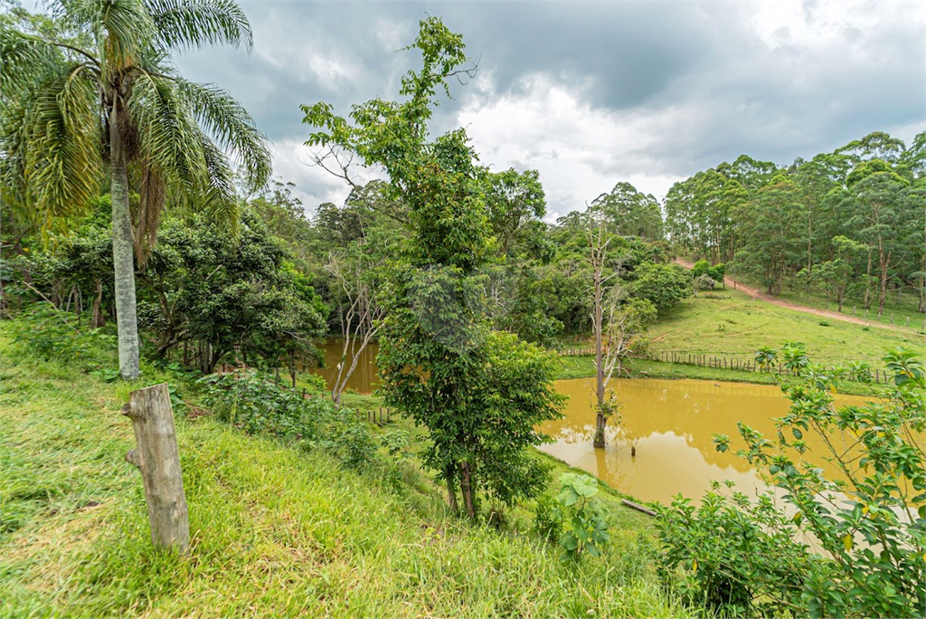 Venda Sítio São Paulo Praias Paulistanas REO639076 26