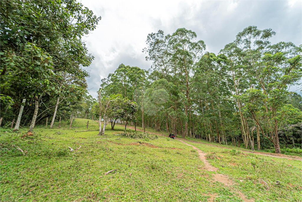 Venda Sítio São Paulo Praias Paulistanas REO639076 33