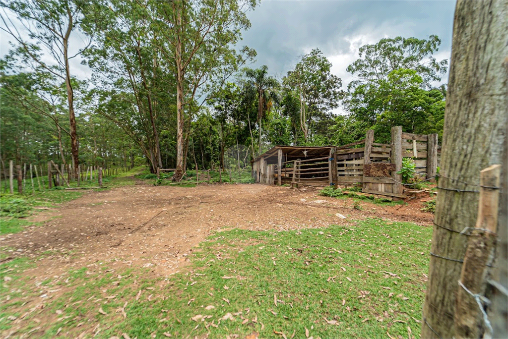 Venda Sítio São Paulo Praias Paulistanas REO639076 28