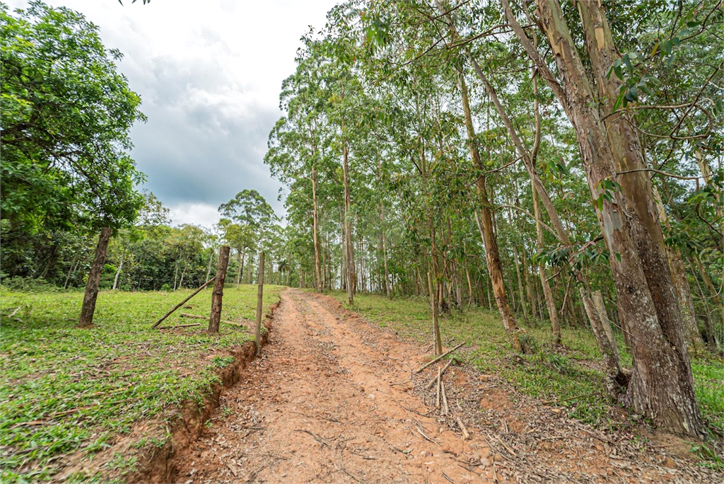 Venda Sítio São Paulo Praias Paulistanas REO639076 34