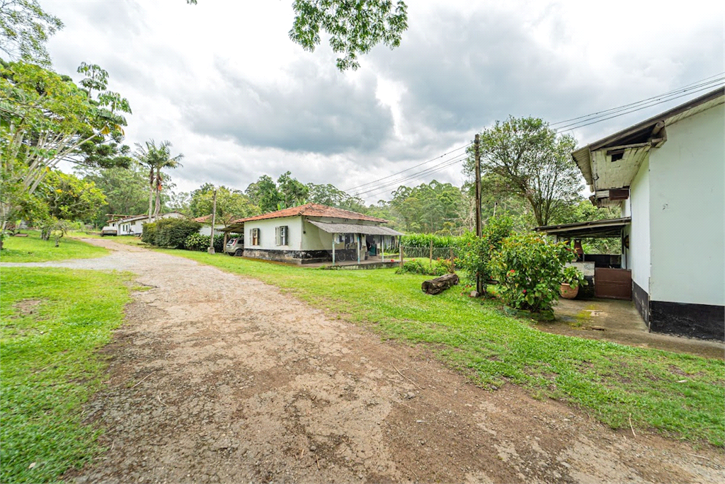 Venda Sítio São Paulo Praias Paulistanas REO639076 15