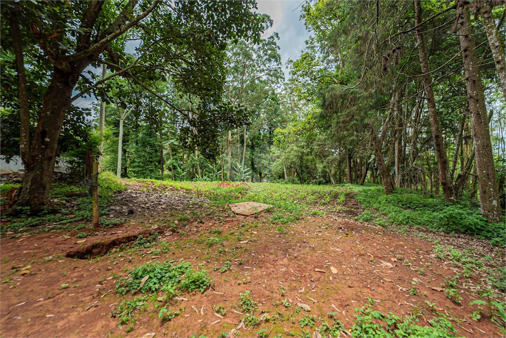 Venda Sítio São Paulo Praias Paulistanas REO639076 7