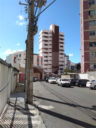 Foto REO639320