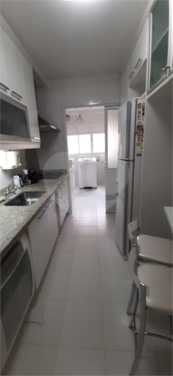 Aluguel Apartamento São Paulo Vila Ipojuca REO639481 7