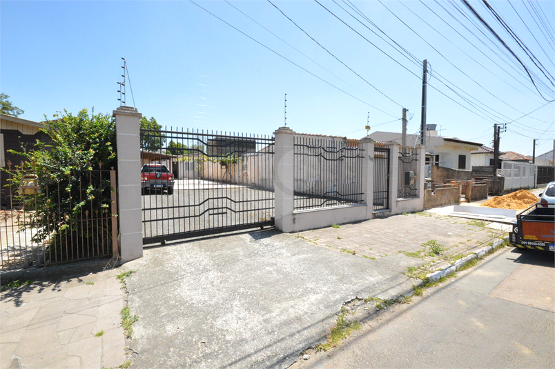 Foto REO639595