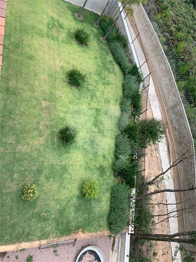 Foto REO639654