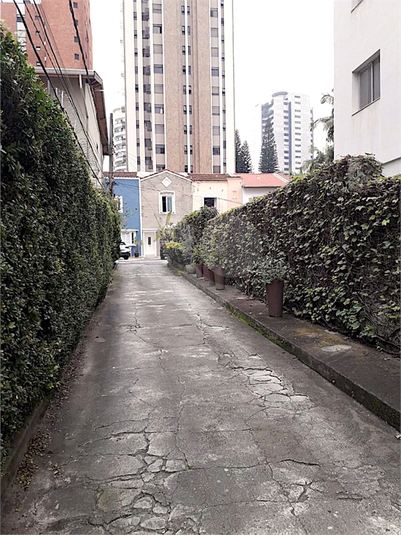 Foto REO639679