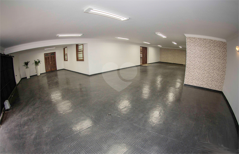 Foto REO639905
