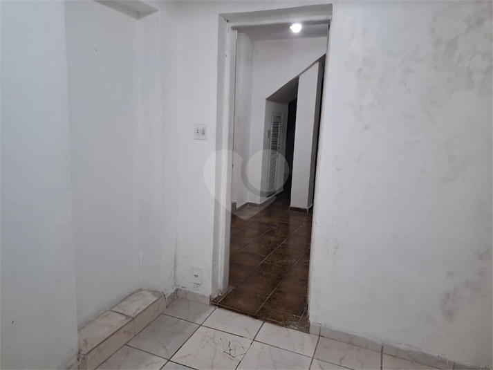 Foto REO639926