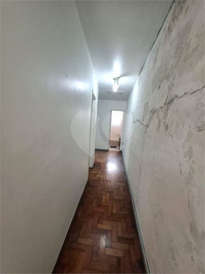 Foto REO639926