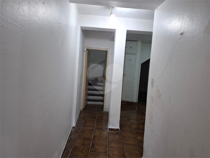 Foto REO639926