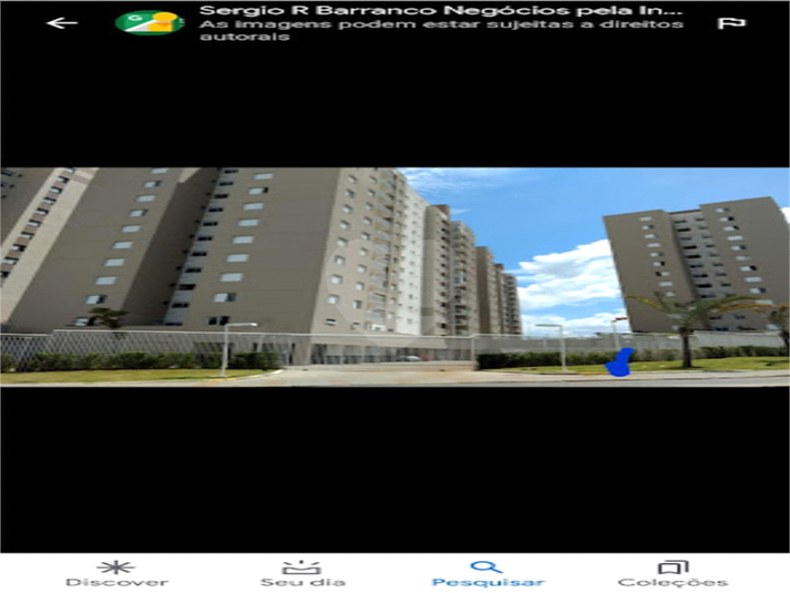 Foto REO639954