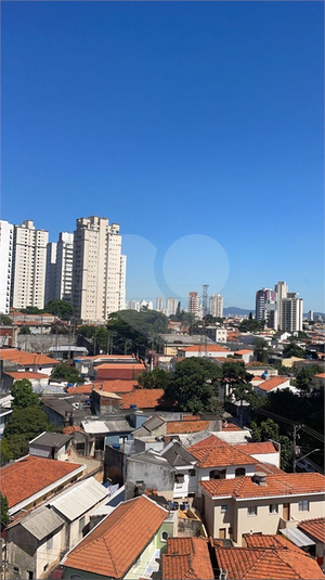 Foto REO640824