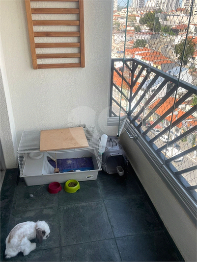 Foto REO640824