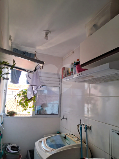 Foto REO641311