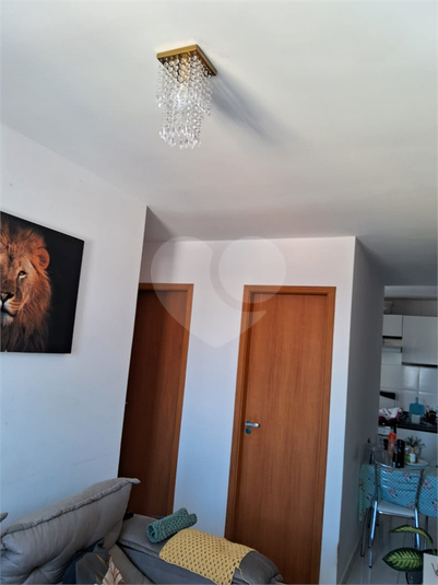Foto REO641311