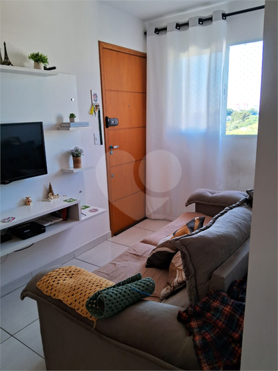 Foto REO641311