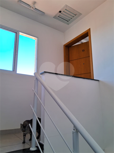 Foto REO641311