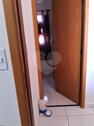 Foto REO641311