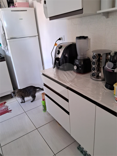 Foto REO641311