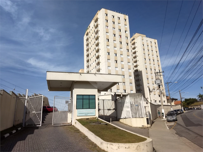 Foto REO641469