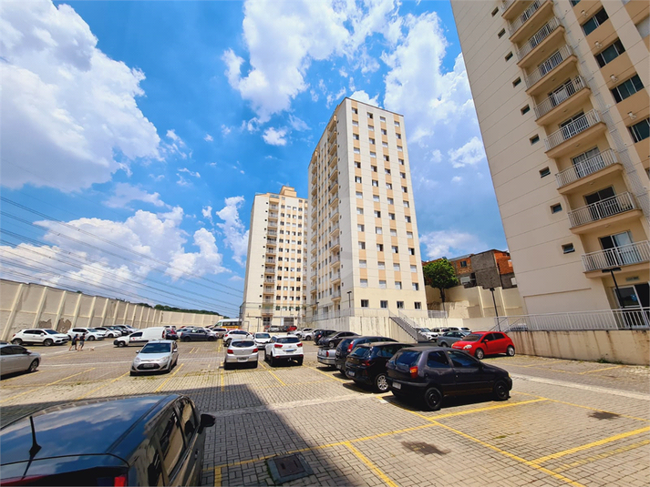 Foto REO641469