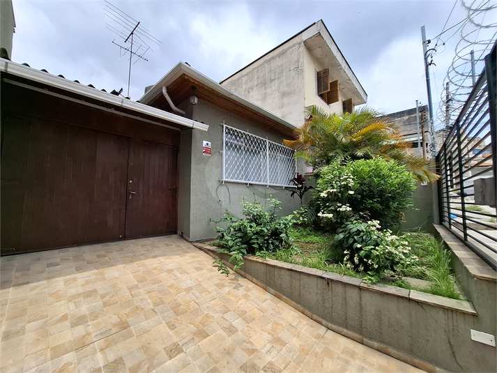 Foto REO641666